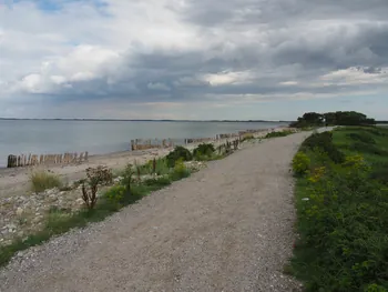 Halshuisene + Enebaerodde Beach (Denemarken)